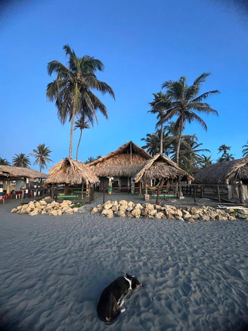 Antara Del Mar Hotel San Bernardo del Viento Ngoại thất bức ảnh
